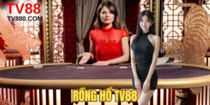 Rồng Hổ TV88: Từ Luật Chơi Đến Chiến Thuật Soi Cầu Chuẩn